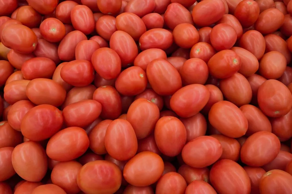 tomates roma