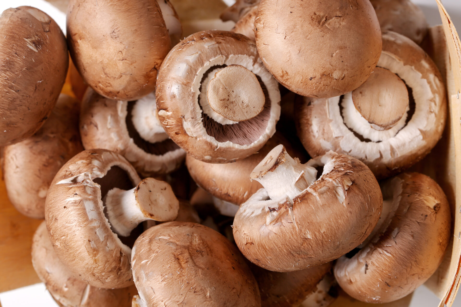 Préparer vos champignons : nettoyage et techniques indispensables