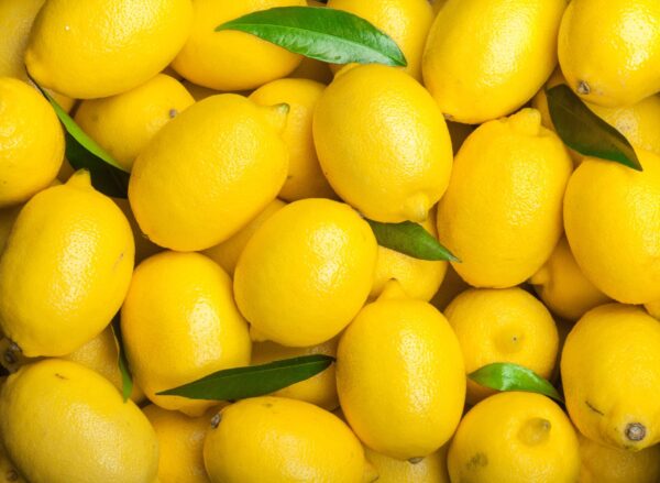 Citrons bios de Sicile
