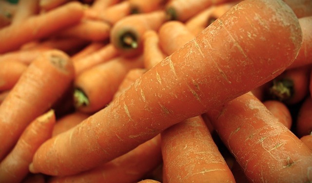carottes douchées