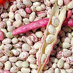 haricots coco rouges