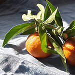 Mandarines de Sicile non traitées après récolte