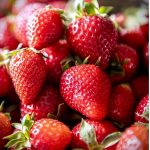 fraises mara des bois