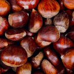 châtaigne