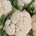 chou fleur