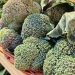brocolis