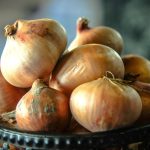 oignons lézignan vrac